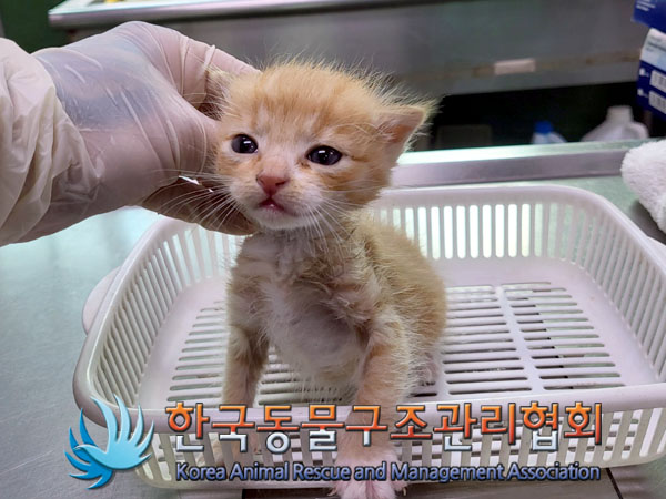 종료(자연사) 한국…